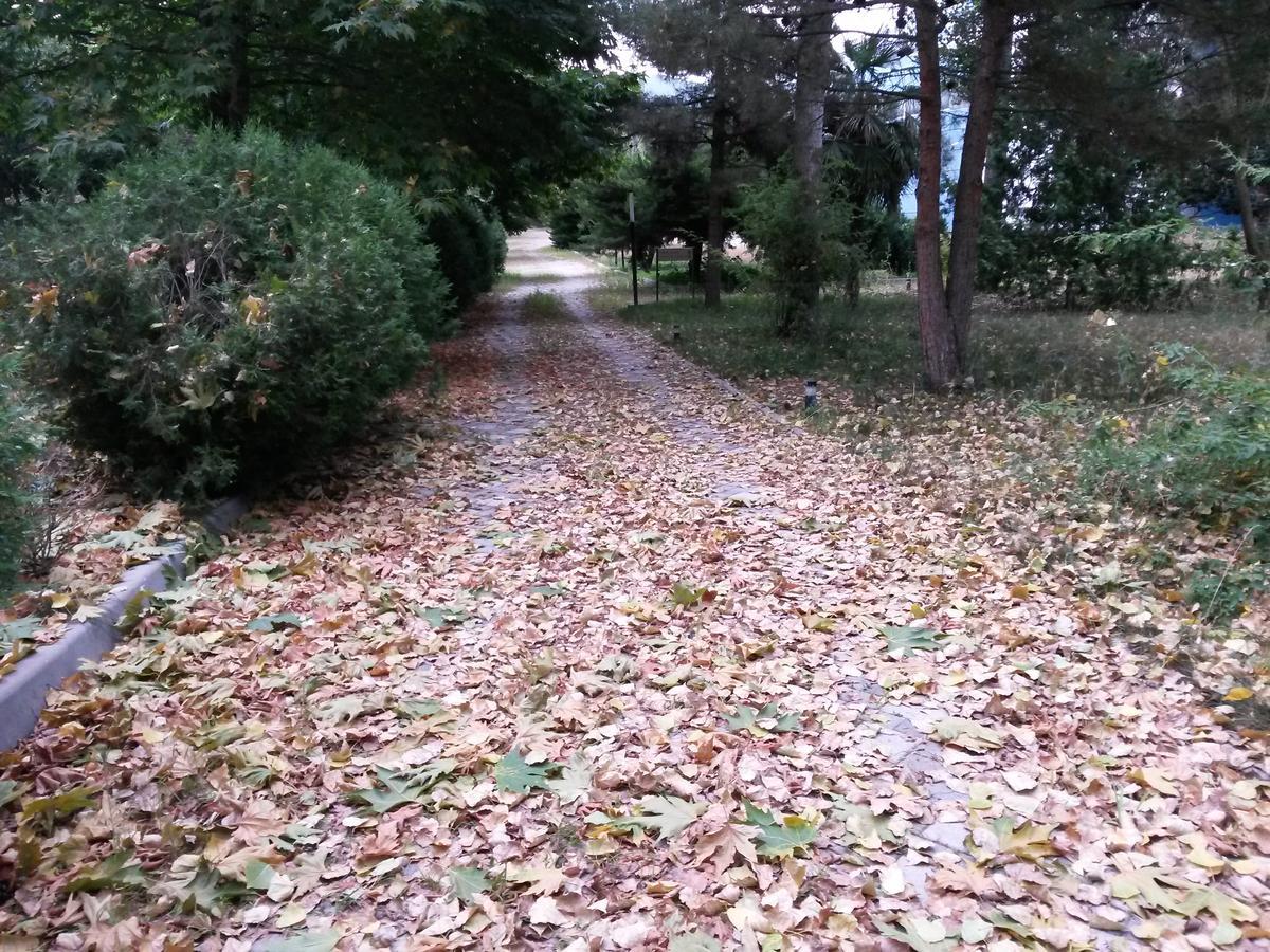 Sheki Olimpiya Hotel & Resort Екстер'єр фото