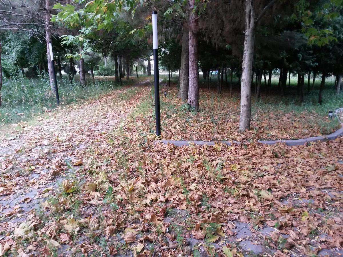 Sheki Olimpiya Hotel & Resort Екстер'єр фото