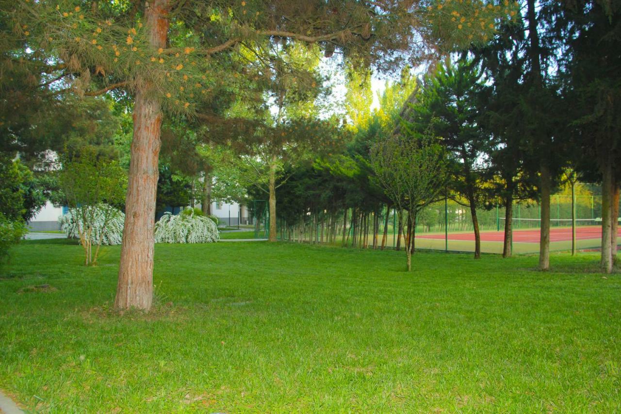 Sheki Olimpiya Hotel & Resort Екстер'єр фото